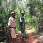 Menabe Antimena : Les communautés locales agissent pour la conservation des lémuriens