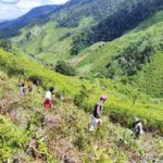 Forest Restoration in Anjozorobe Angavo