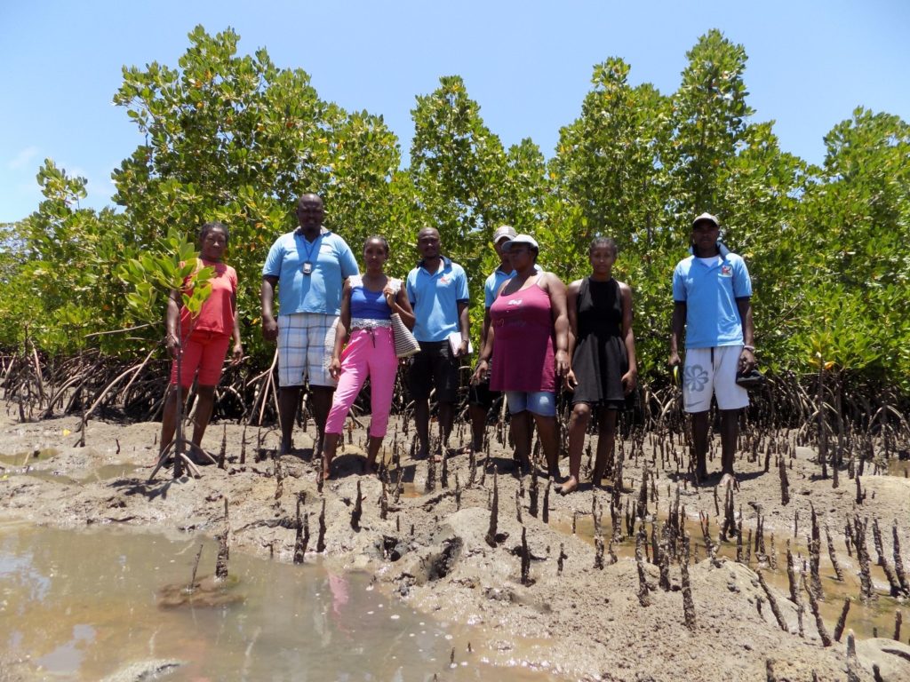 Communauté locale active dans la restauration des mangroves